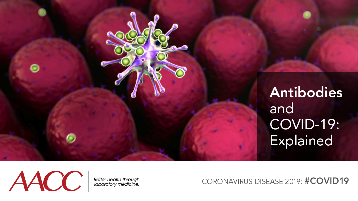 myADLM's tweet photo. Scientists still don’t know how long antibodies to the novel coronavirus last or if they give us short- or long-term immunity to the virus. Learn more in this video from AACC's Making Sense of Coronavirus Testing series. https://t.co/nNblL2n95k https://t.co/DvHZrs3016