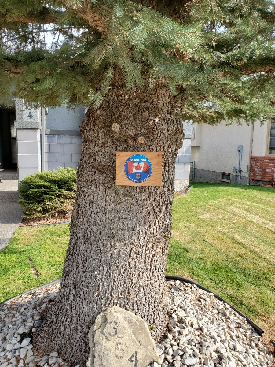 Check out some of the 'Thank You Campaign' decals in Alberta!

We continue to raise funds for our collaboration with <a href="/ChalmersFdn/">Chalmers Foundation</a> to help support the frontline workers locally in our province.

For more information or to purchase your package head to ➡️ frederictonredwings.com/thankyou