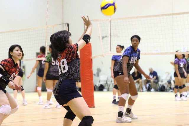 オーカグローバルサポート バレー留学 学年 高校3年生 ポジション リベロ 身長 163cm オファー大学 アイダホ州2年制大学 アメリカ留学 バレー留学 上記の情報と写真の選手は関係ありません オーカグローバルサポート バレー留学 学年 高校3年生 ポジション リベロ 身長 163cm オファー大学 アイダホ州2年制大学 アメリカ留学 バレー留学 上記の情報と写真の選手は関係ありません