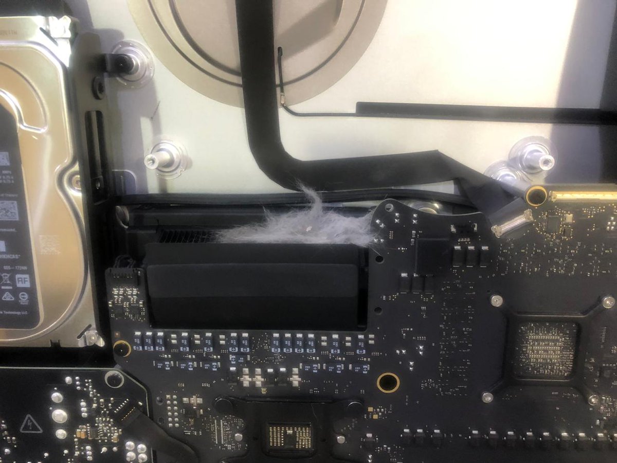 Soy_la_tech's tweet photo. Creo que el técnico ya descubrió por qué había problemas con el ventilador de la iMac.
#MichiPower #DePelos https://t.co/j4nQzk9yiL