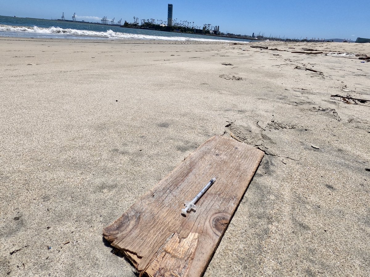 RimHammer's tweet photo. First day in 2 months the beach was open and we decided to do some maintenance. Kudos to #LongBeach for finally putting covers on the trash cans. #savetheplanet #projectLBC @abc7rachel @LongBeachPost @ChristinaKTLA https://t.co/arOIl7XsGP beaches need help! https://t.co/aNjdxvj26U
