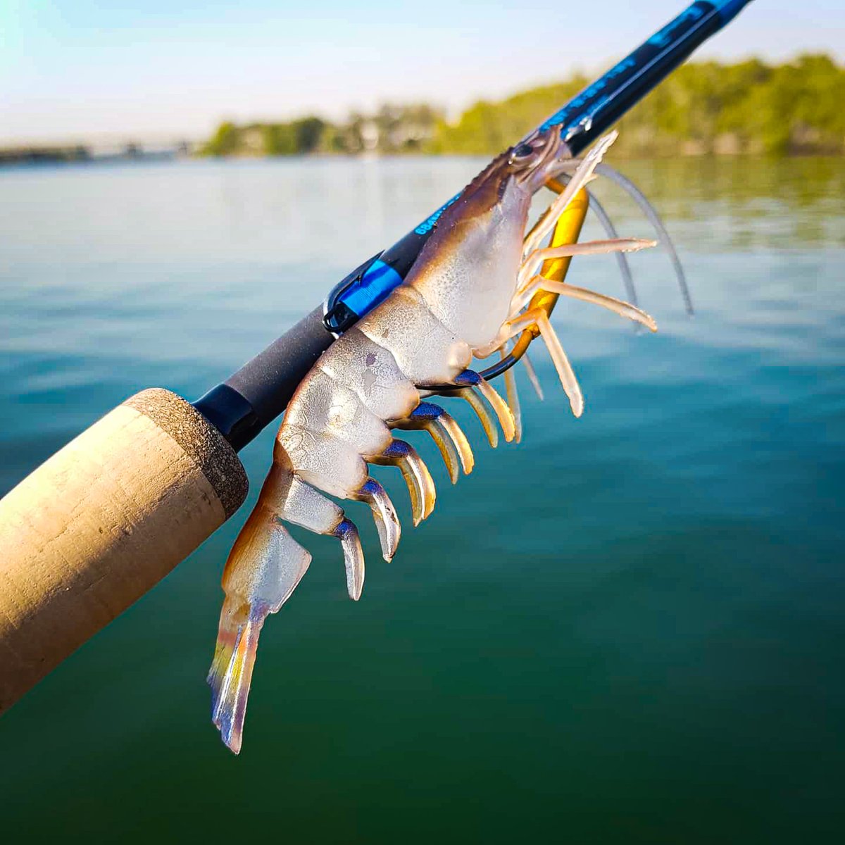 chasebaits tweet picture