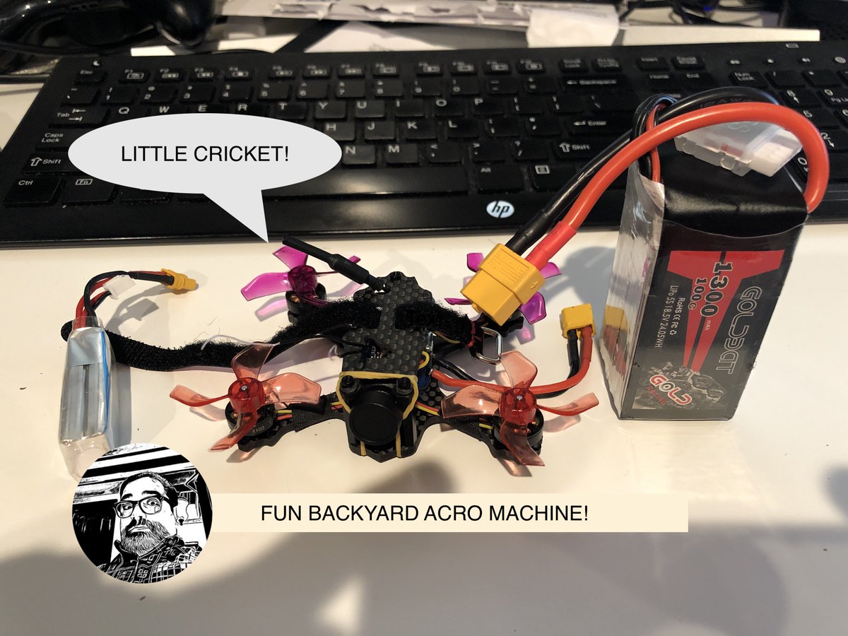 WindRiderFPV's tweet photo. Build this little backyard flyer I dubbed the 'Little Cricket!'.  Video and parts list in the video description. It is awesome!!! https://t.co/r7fcHQ1ceW. #fpv #iflight #usmile #drone https://t.co/wNe3cxIqoH