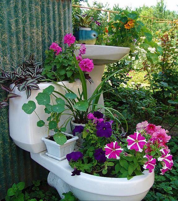 teamhaig's tweet photo. Additional Patio Flowers https://t.co/CKZV3VVZxa