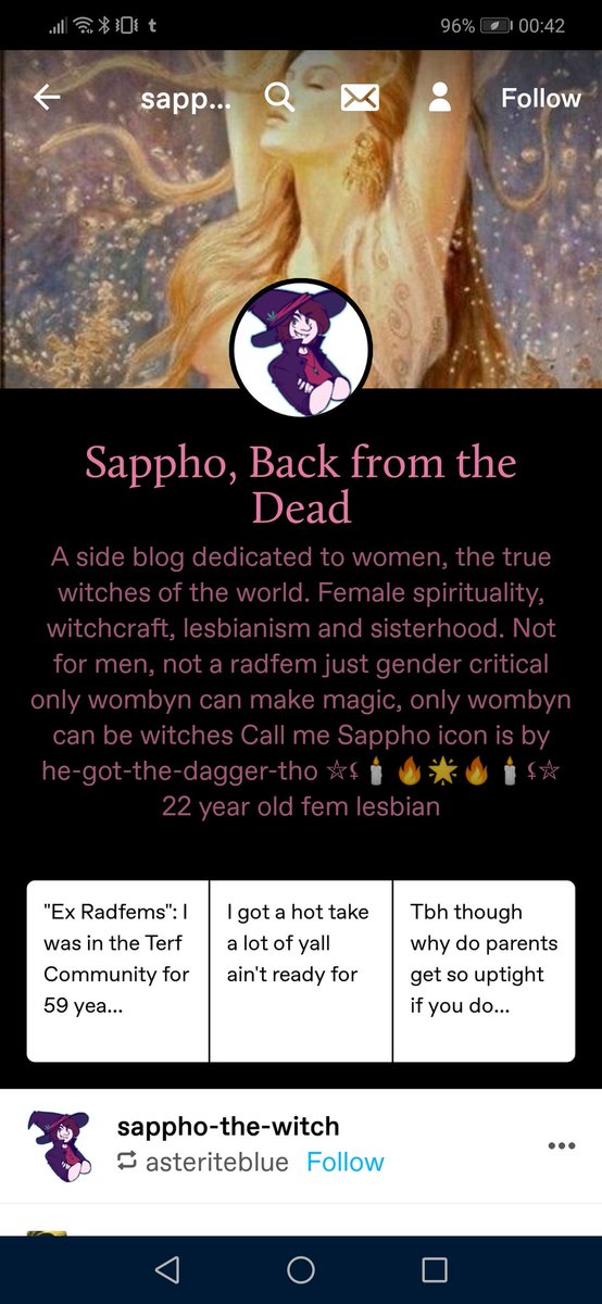 Ground zero for radfem interaction is sappho-the-witch, who immediately begins ranting about fanfiction "normalising" pedophilia and the many pedos "hiding" in fandom
