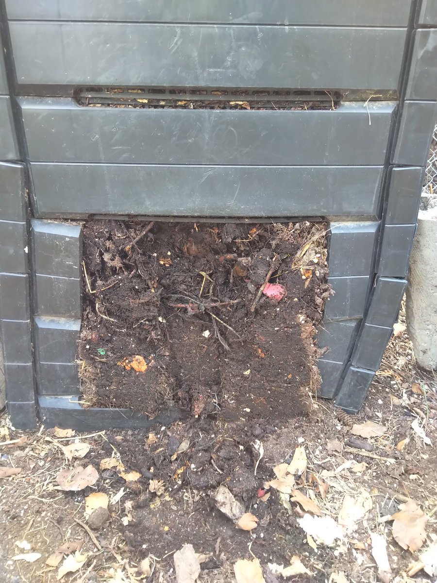 TempleGrower's tweet photo. Spent the afternoon in the backyard with some friendly #microbes today.. Sifted 6 cubic feet of extremely #local #organic Gardner's Gold. Can't wait to make some ACT with this. Local microbes are the best microbes. And zero kitchen/pruning waste! ♻️🌱

#CompostYourOwn #Compost https://t.co/jU0MYdxLAo
