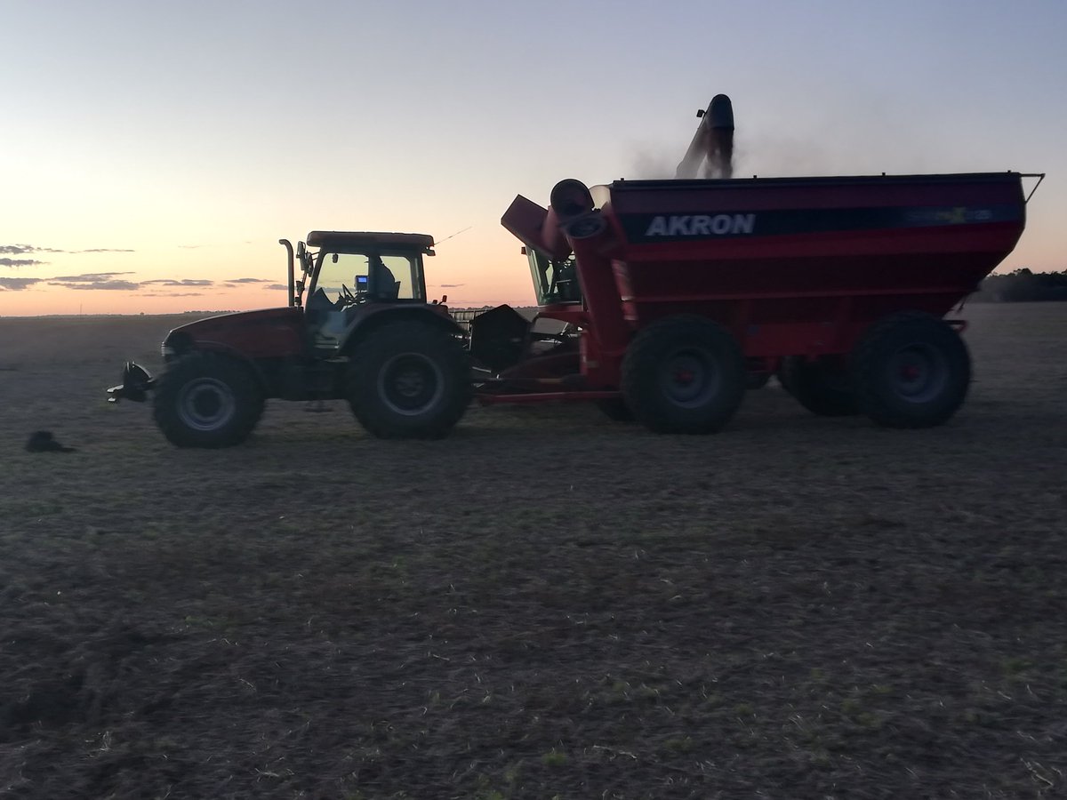 JCPaganti's tweet photo. Fin del día, fin de lote.
#soja2 #campo #dm4615STS
@DONMARIOoficial https://t.co/MC934CDwMA