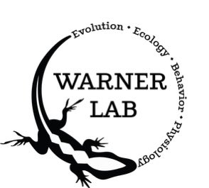 Morgan Muell tweet media