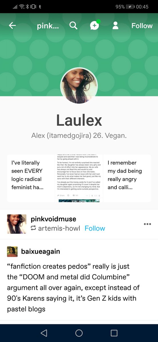 Pinkvoidmuse reblogs it from artemis-howl and does add commentary, talking about how she confronted a friend for going on a fanfic site with (gasp) TAGGED CONTENT ON IT!