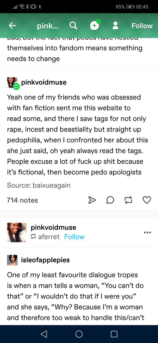 Pinkvoidmuse reblogs it from artemis-howl and does add commentary, talking about how she confronted a friend for going on a fanfic site with (gasp) TAGGED CONTENT ON IT!