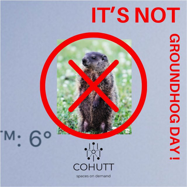COHUTTspace's tweet photo. It’s NOT #GROUNDHOGDAY 🐿 !
.
Yesterday’s GROUND FOG 🌫 had us confused but we knew it wasn’t the same day ... again & again & again!
.
Wishing #goodvibes & #happythoughts vibes 😃 to all whilst in isolation
.
#groundhog #groundfog #fog #billmurray #sameday #isolation #happy https://t.co/qZK51of7cR