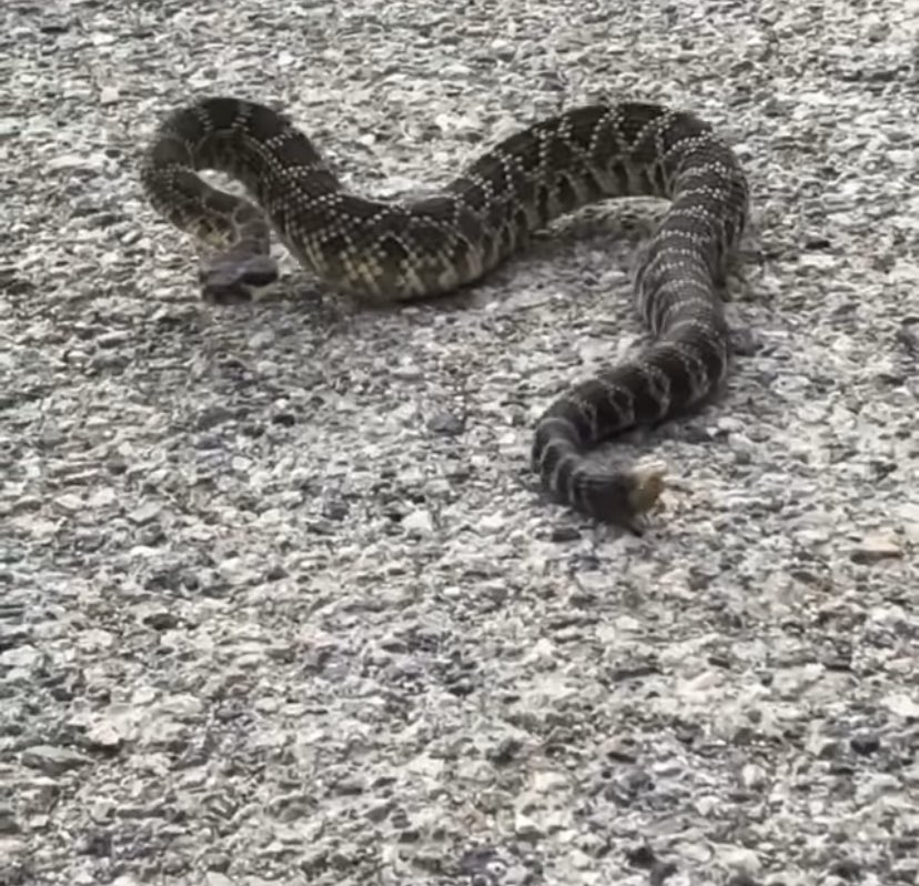 Malibu/Lost Hills Station tweet media