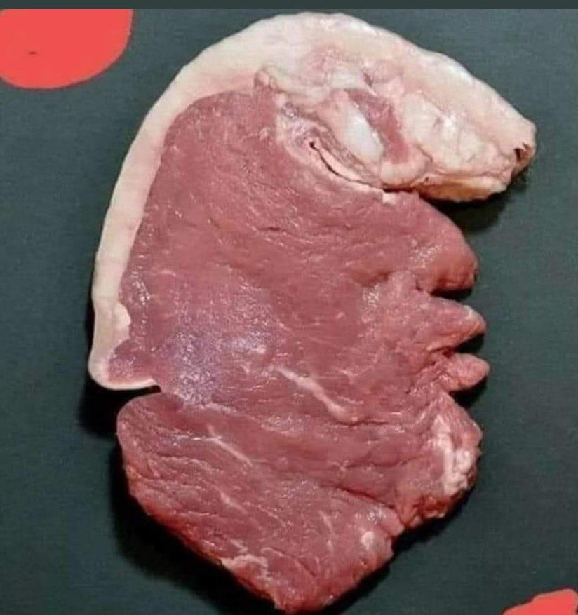 KateRobbins's tweet photo. Complete meat head . 
Donald Rump https://t.co/mbX0gCfFB5