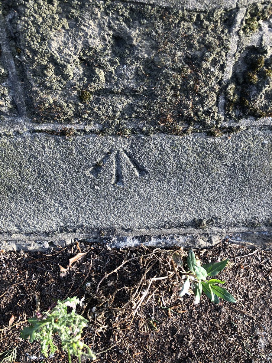 salliedukes78's tweet image. 2 out of 5 possible #osbenchmark this evening &amp;amp; a lovely potter in the woods ☀️