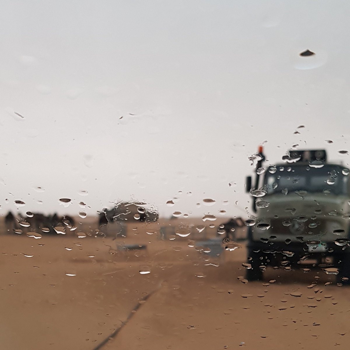 السعه والذود والسيل والجو العليل
اربعه تطرد همومي وتجرف جلها

لااحصلت لي واحده ماهي بمدة بخيل
كيف لا لمّت شمِلها وجتني كلها