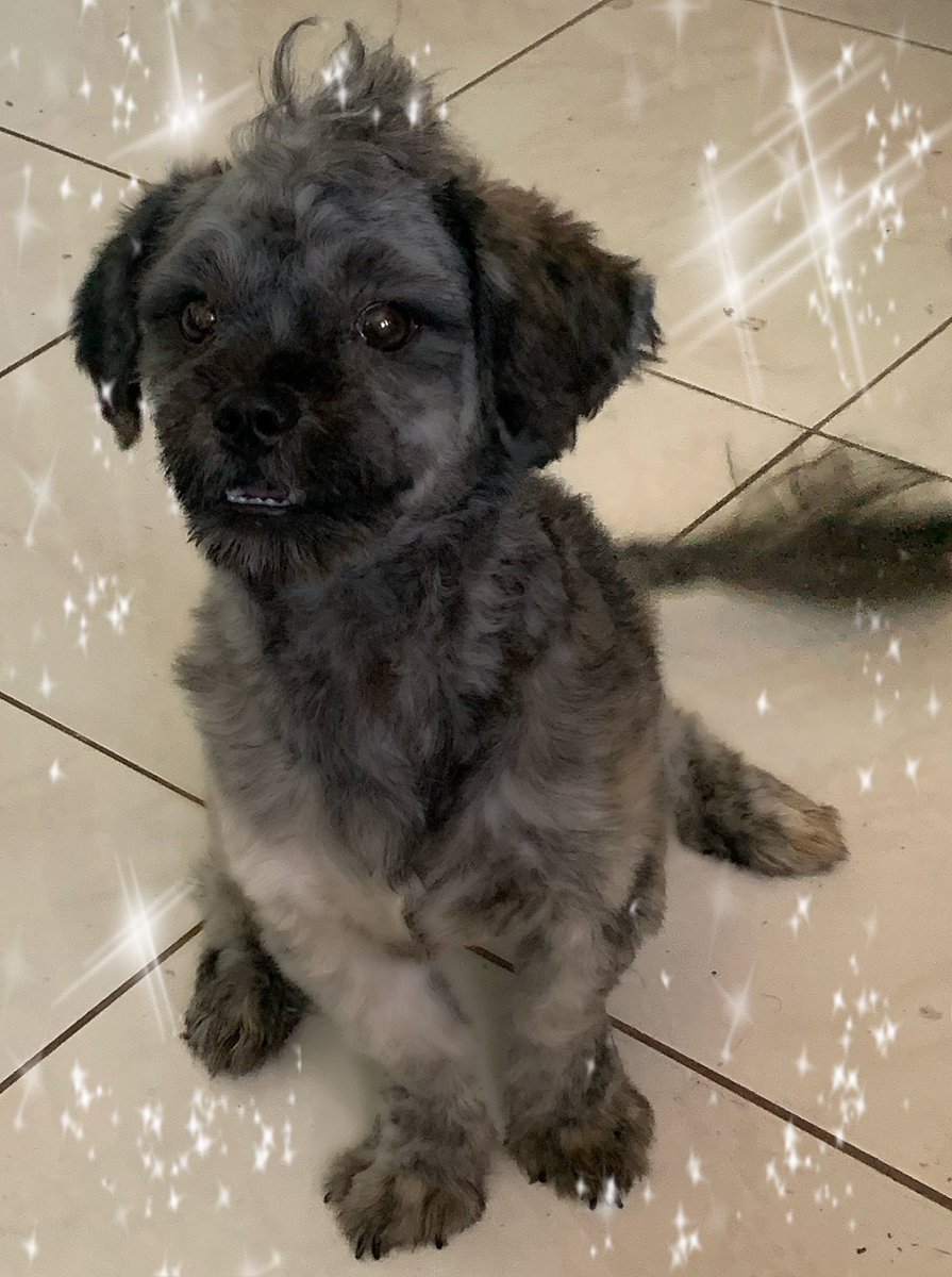 ChrishandaJade's tweet image. My baby bday soon reach 2 months out yal!? Kml I kno i kno kml I dead early lmaoooooo