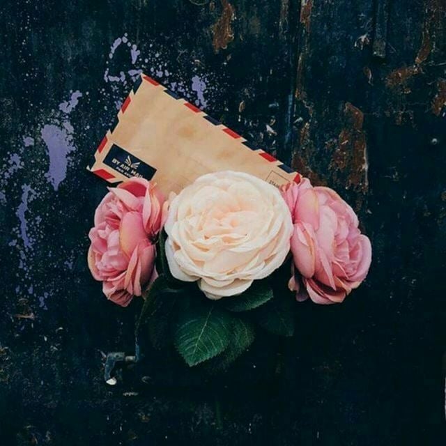 8Homs's tweet photo. #رضوان_البرنس https://t.co/M0skGDdJla
