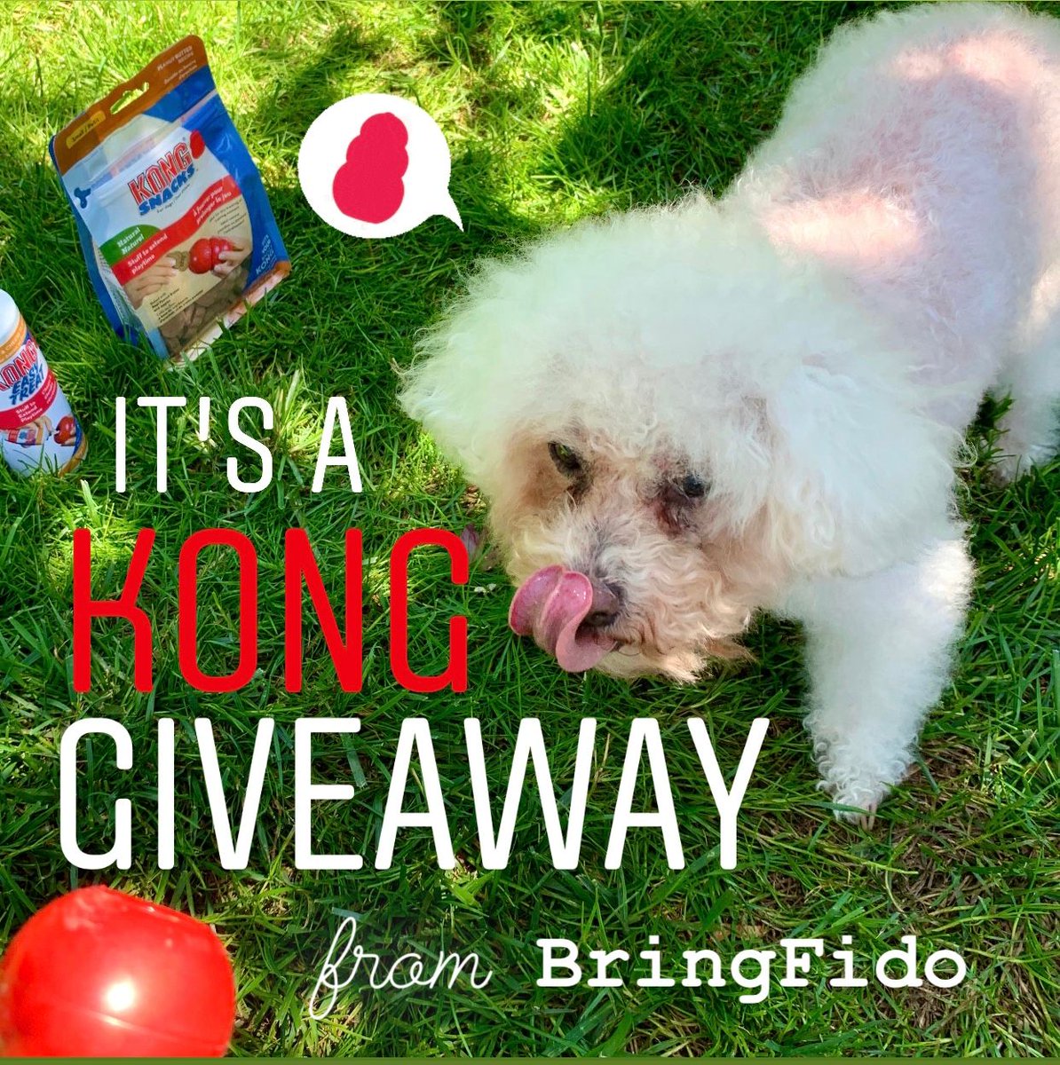 🎉 #GIVEAWAYALERT We're giving away an amazing prize bundle of KONG toys and treats on the BringFido Instagram account! 🎉
buff.ly/2WPe2rG 
.
Contest ends May 15, 2020 at 11:59 pm, EST. 
One random winner will be announced on May 18.
.
#contestgiveaway #contest #giveaway