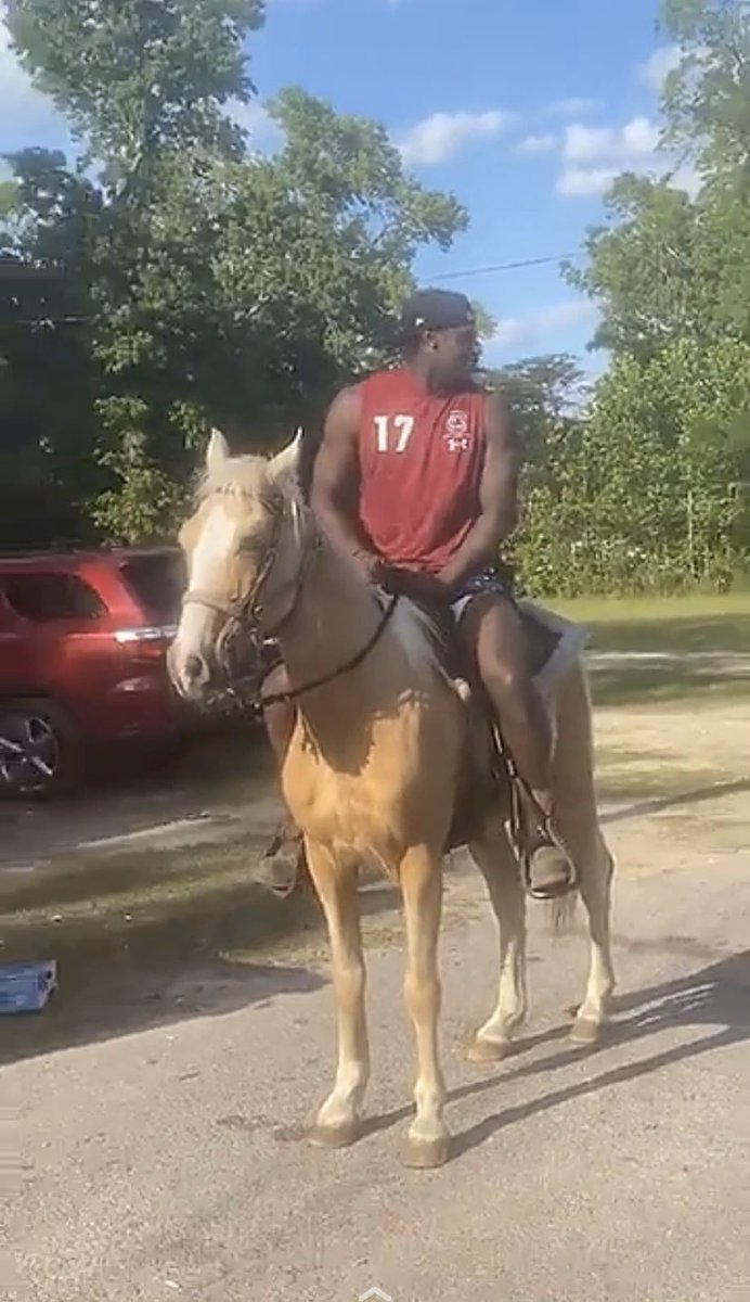 XavierLegette's tweet photo. @JoeGameCox @CoachWMuschamp @CoachMikeBobo  what y'all know about them horses 😂😂 https://t.co/QNwyIoCCzp