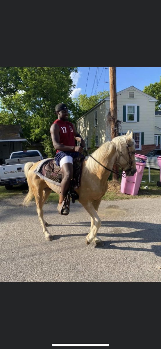 XavierLegette's tweet photo. @JoeGameCox @CoachWMuschamp @CoachMikeBobo  what y'all know about them horses 😂😂 https://t.co/QNwyIoCCzp