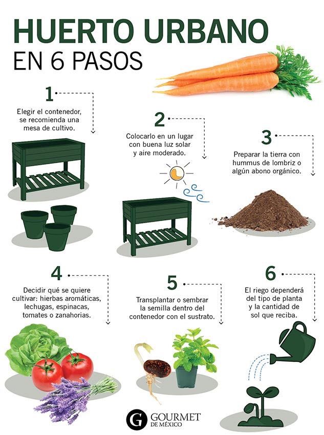 Valor ESG On Twitter C mo Hacer Un Huerto Urbano Aqu Te Dejamos 