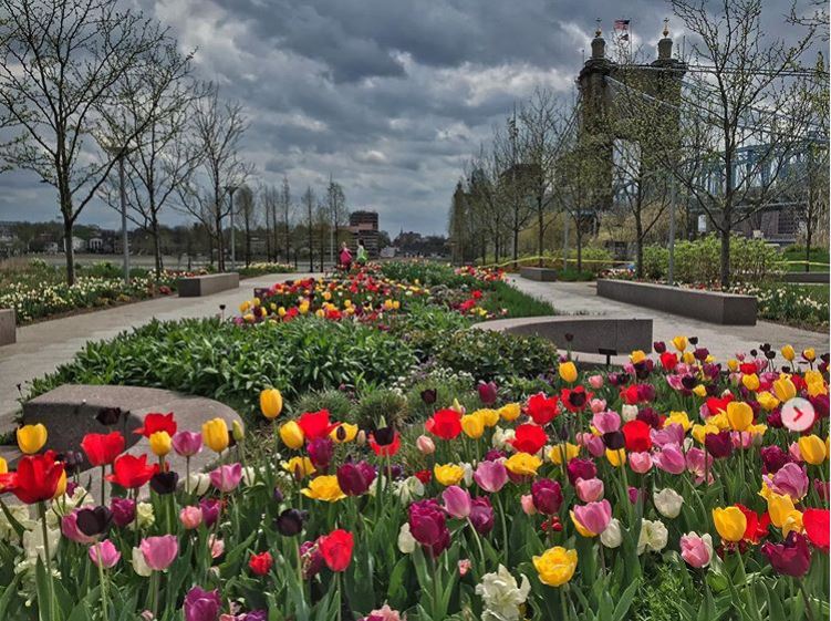 Cincinnati Parks On Twitter Happy 513 Day These Days Are Different Than Usual But Let S Take A Moment To Celebrate Some Cincinnati Pride What S Your Favorite Cincinnati Park To Visit Your Favorite
