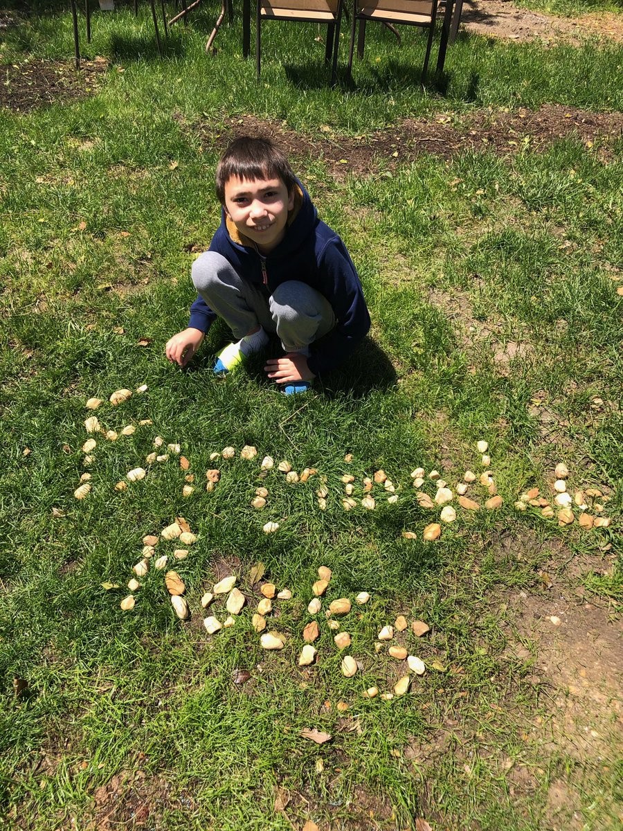 Ms. Dyevoich tweet media