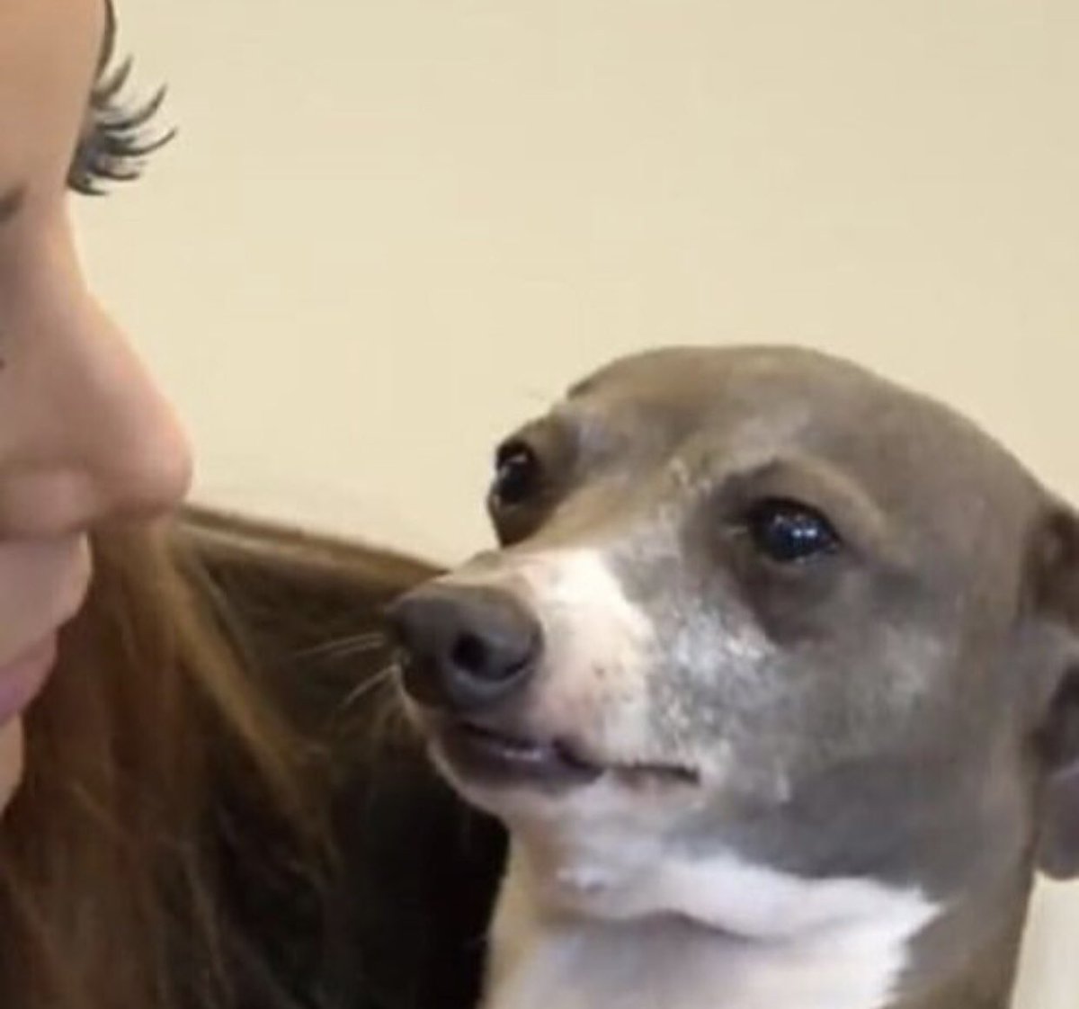 OfShadowSteps's tweet image. Zoey’s “Am I a joke to you?” Face