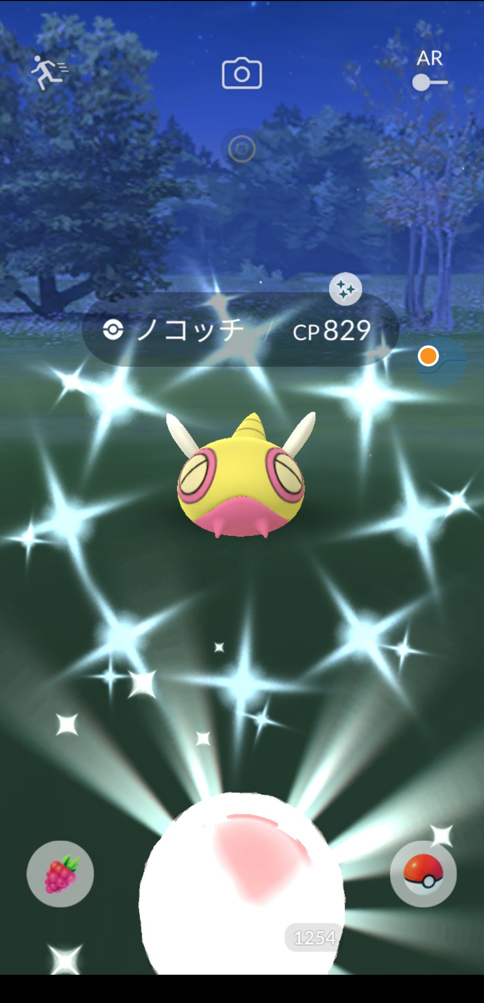 ひぃちゃ ノコッチ やっとピカッた E ﾎｯ ポケモンgo 色違いノコッチ T Co Gcayd1kw22 Twitter