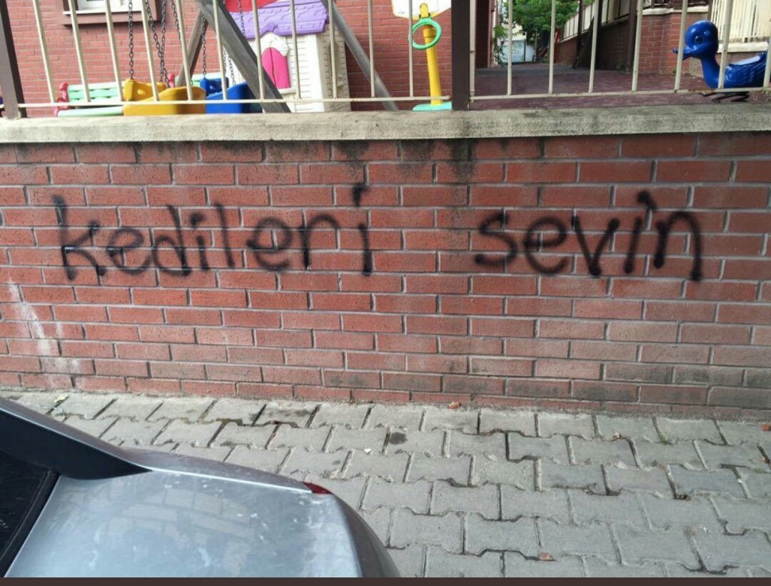 Sevin ulan lütfen 🙃