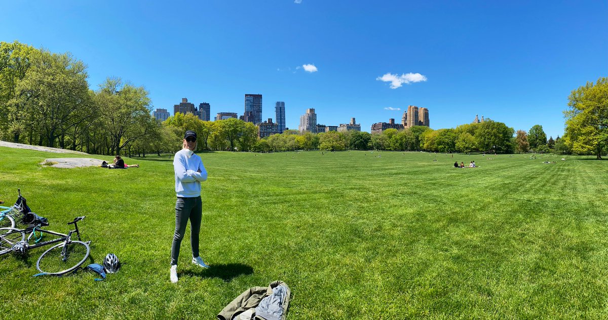rennaestubbs's tweet photo. This is what i call social distancing! #SHEEPSMEADOW #NYC https://t.co/IeCm9f25S5