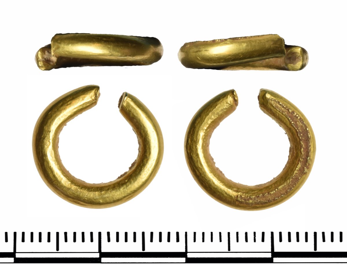 TRegistrars's tweet photo. A recent coroner's inquest declared these two Bronze Age gold penannular rings Treasure - @SomersetMuseum hopes to acquire, just as they acquired a similar ring found nearby earlier in the year. #lockdowntreasure https://t.co/e1tM89TCC6 https://t.co/OefCZwGRU6
