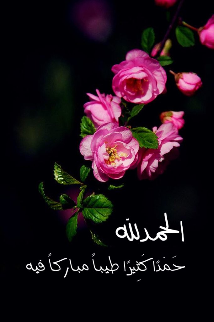 متوكله على الله On Twitter الحمدلله حمدا كثيرا طيبا مباركا فيه ملئ السموات والأرض