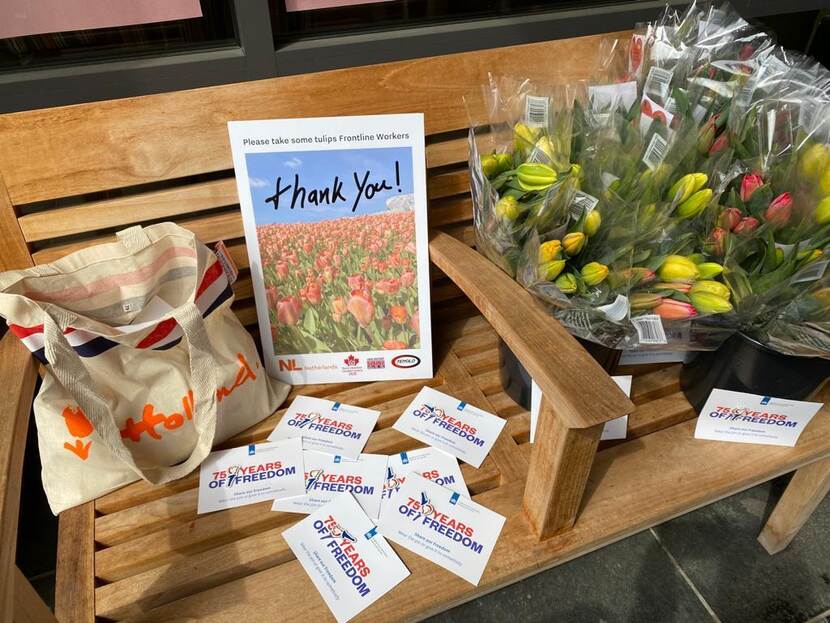 NLinCanada's tweet photo. In the past two weeks thousands of beautiful tulips have been delivered by our Embassy and Consulates-General to hospitals and care homes to thank the dedicated healthcare professionals. Read a summary of what we did: https://t.co/HUb5hrwPtf

#HealthcareHeroes #TulipsOfThanks https://t.co/JtVnZM7pWq