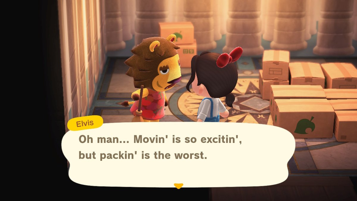 RR_Stephy's tweet photo. Elvis in boxes if anyone wants him #AnimalCrossing #ACNH #NintendoSwitch #Elvis #Elvisinboxes #movingout #inboxes #boxes #cherrydress https://t.co/w52MNadplI