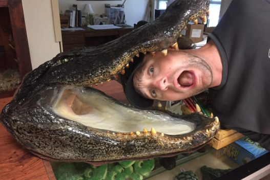 Georgia Film Community tweet media