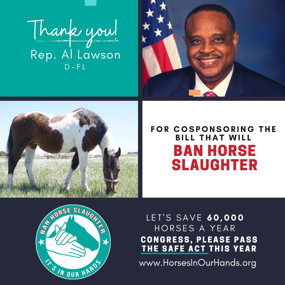 HorsesInOurHand's tweet photo. We are calling Congress, are you? Now you can take action on the #IOHAF website! Thanks to @RepAlLawsonJr for supporting the #SAFEAct. Is your legislator a cosponsor? Click here and act: https://t.co/0DCwiYcoW8 #banhorseslaughter #HorsesInOurHands #Yes2SAFE #endhorseslaughter https://t.co/Gh9Np0cTfx