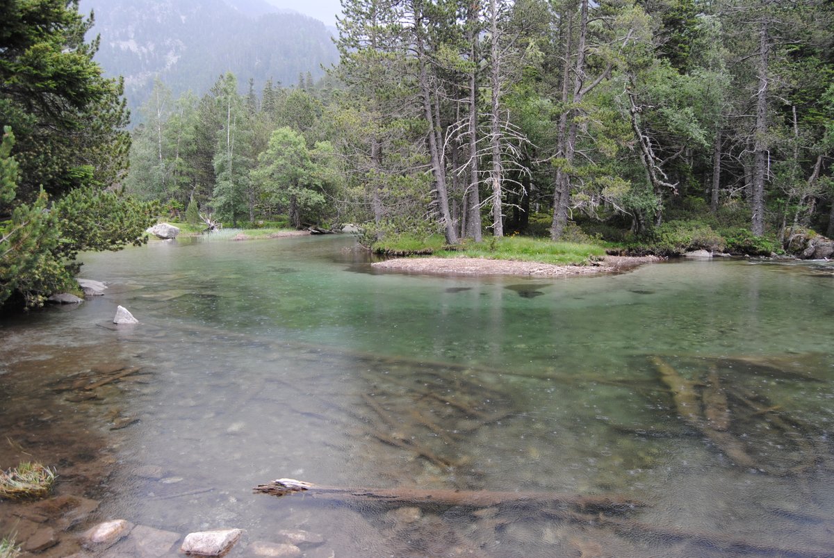 Aquest dijous (10-11h) us explicarem què podem fer i què no a la #muntanya en #fase1 de desescalada per la #covid19. Parlem amb Alfons Esterlich, sergent responsable de la unitat del <a href="/grae_bombers/">Bombers GRAE</a> dels <a href="/bomberscat/">Bombers</a> . 
Si teniu preguntes, ens les podeu fer arribar per aquí. ⛏️⛏️