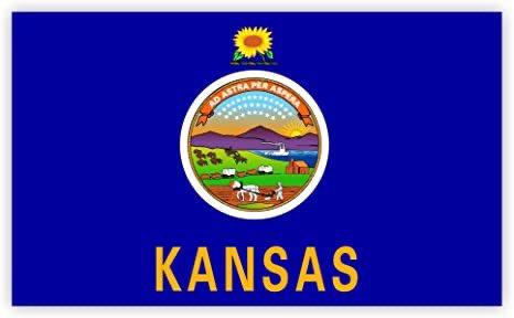 37. Kansas, area inside the seal looks okay, but the yellow text holds this back