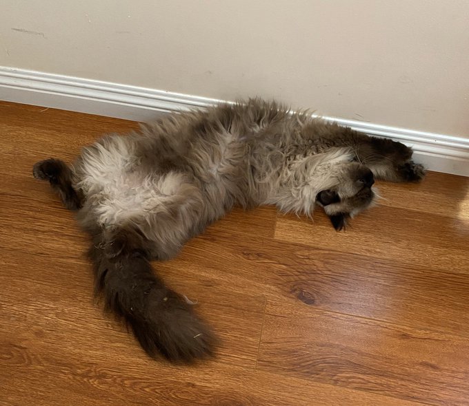 I think Carl is broken...😄 https://t.co/oIuRWA902Q