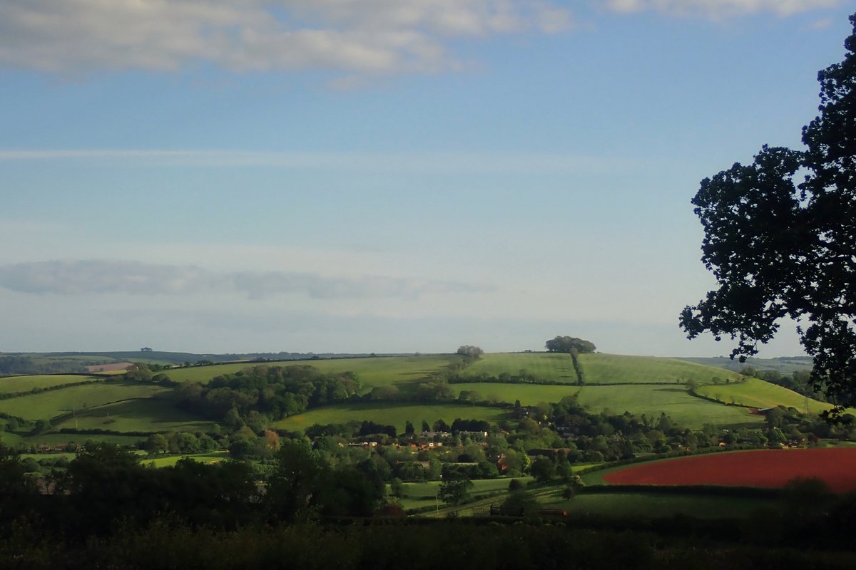 25. Slight Tangent #7. This site is ~8km downriver as the crow flies. The (16thC) beacon itself is the lower of the mounds on the lane, below the top of the hill. A hill which has a small, circular clump on it. It's the far clump in the photo (again, of Windmill Hill Clump). 26/n