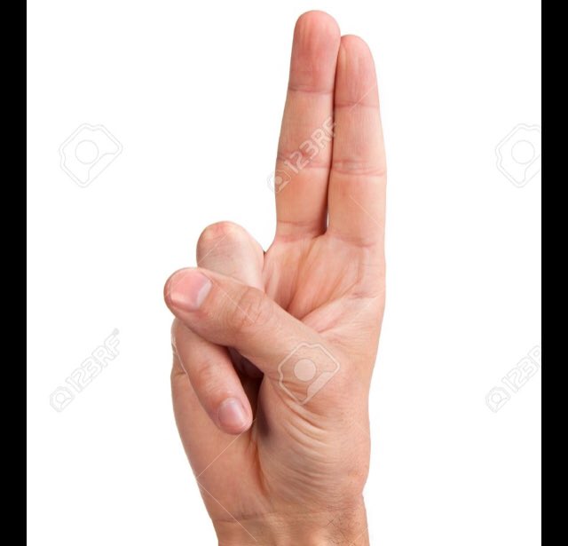 2020PenceHaley tweet media