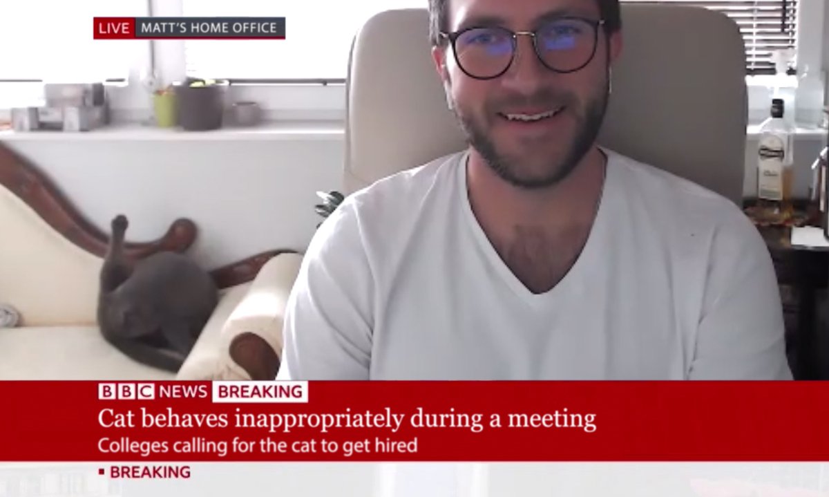 So this Breaking News happened today! #zoombombing 
#workingfromhome #remotework #careerdevelopment #startup #edtech #BreakingNews #CatsOfTwitter 🙀😺