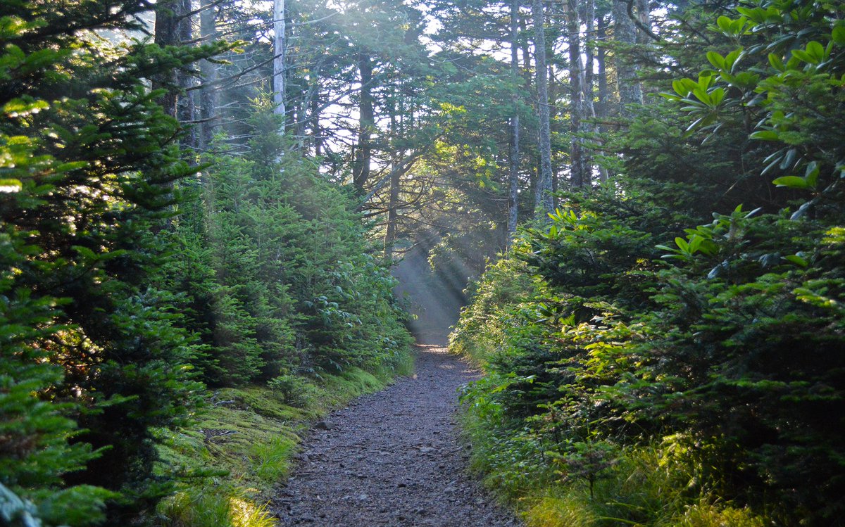 Knoxville Weekend tweet media