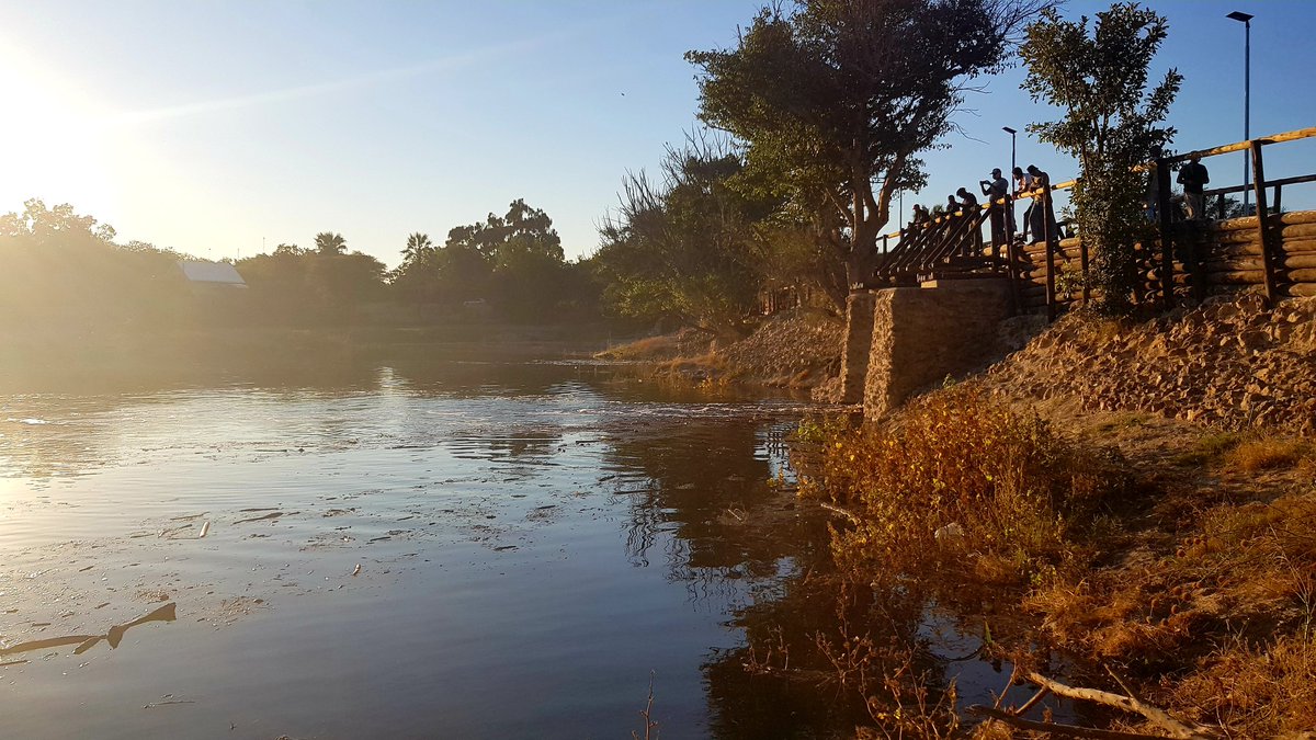 KingFollowa's tweet image. #visitmaun