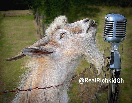 Goglefame's tweet image. #FlowkingStone is a Goat 🐐 in the rap music #BestRapperAfrica #Bra 🔥🔥