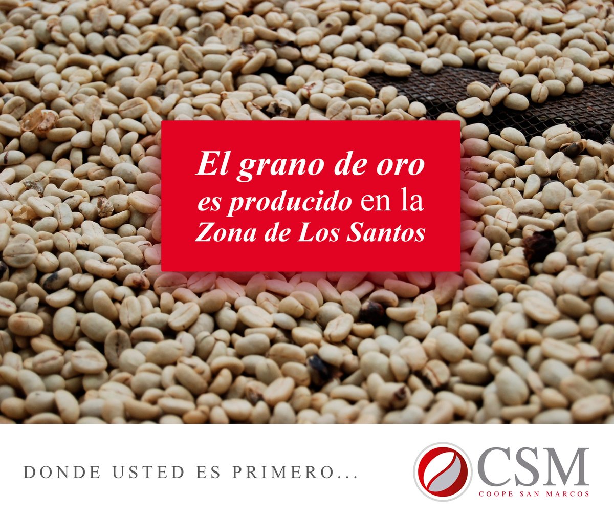 coopesanmarcos's tweet photo. Nuestra región sigue creciendo de la mano de productores comprometidos. Una zona ��nica por sus características y que cada día gana renombre a nivel mundial.

#tarrazu #costarica #coopesanmarcos #puravida #elmejorcafe https://t.co/1GE8mXKAx9
