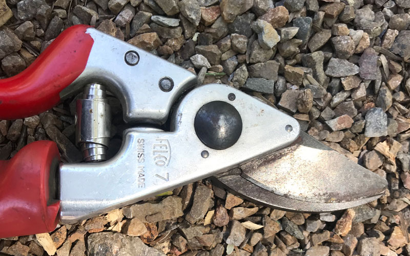 GardenJunkie1's tweet photo. This may be the longest time it's ever taken us to write a review -- over 25 years! Worth the wait, we think. It's Jack's all-time favorite pruner. Felco #7 Bypass Pruner: Product Review https://t.co/zGkVwkHHDF #gpreview @FELCO_tools https://t.co/fhuahKyR4c