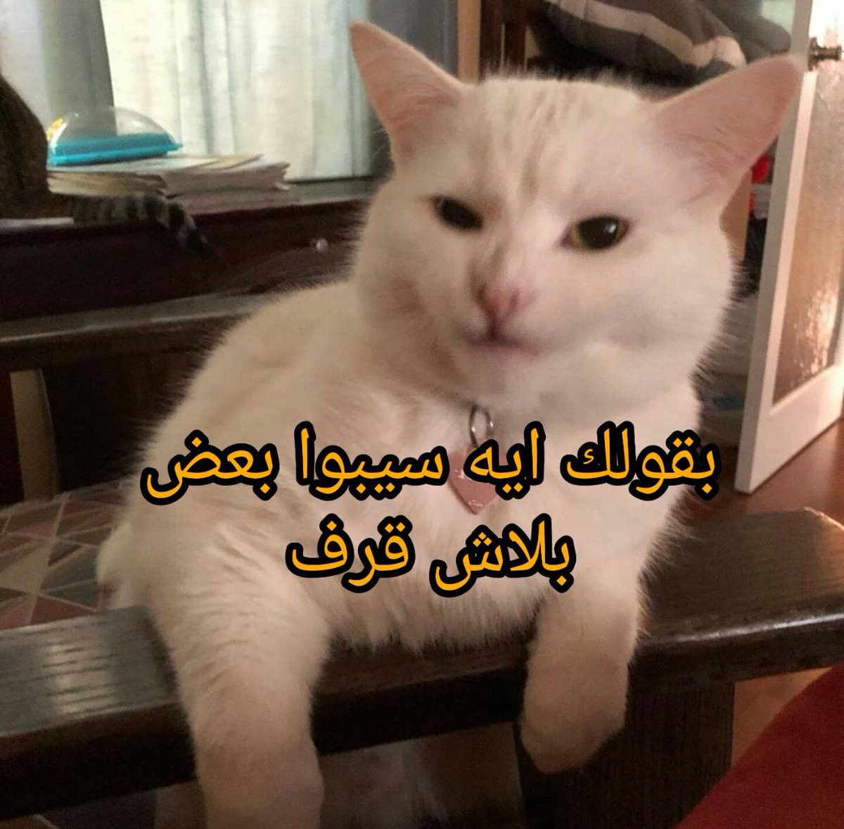 صحباتي كل ما اقلهم هتــ : ههههههههههههههههههههههههههههههههههههههههههههههههه