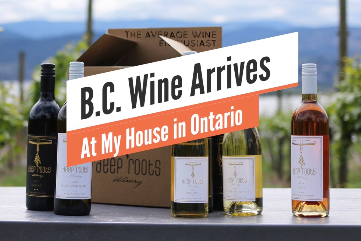 No better time to get wine shipped to your house. Most wineries have their tasting rooms closed and lots are offering free shipping. Take advantage. I did! 🍷

Cheers!

youtu.be/Eq6Yn0FpbDU